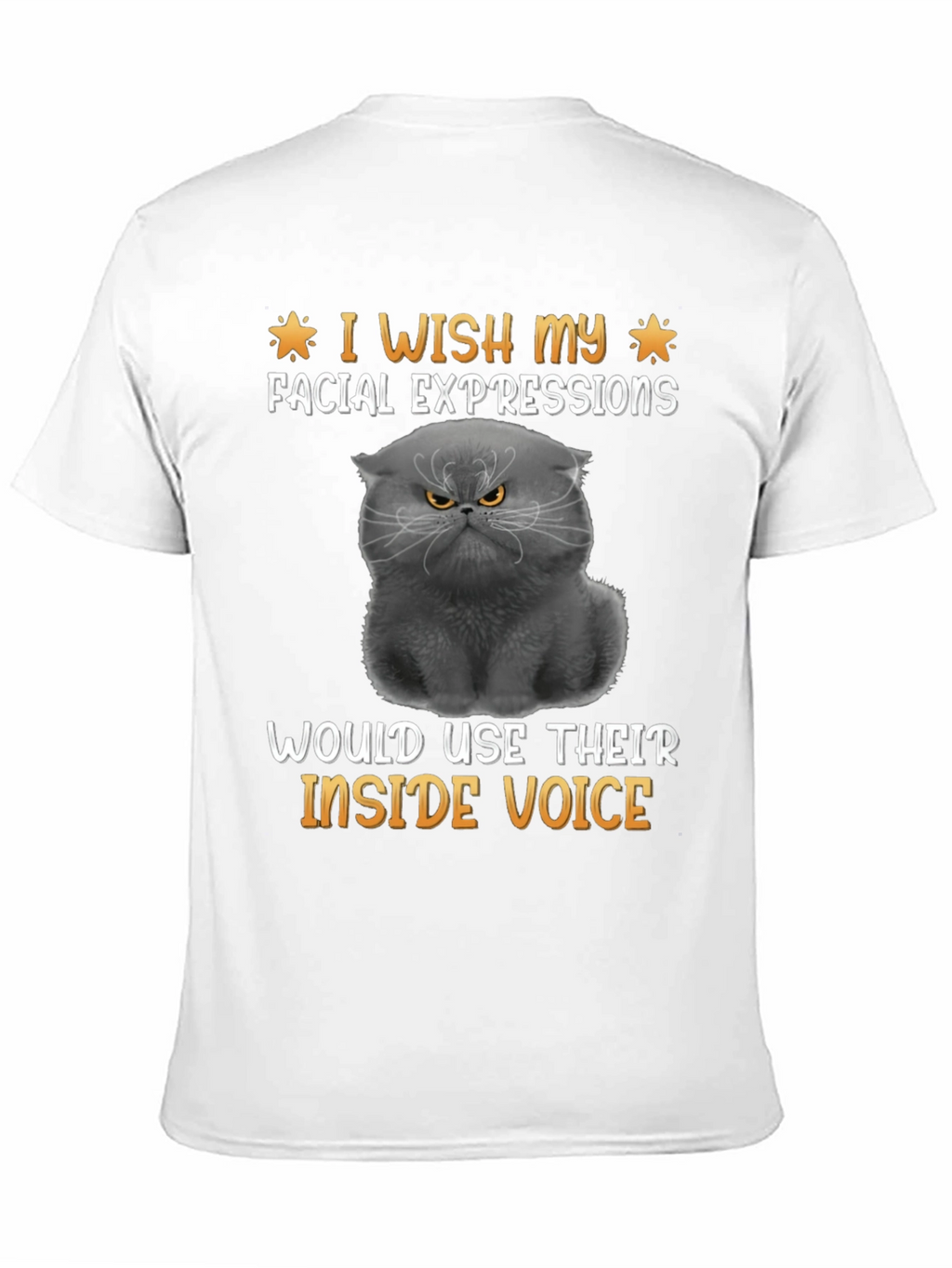 Grumpy Cat T-Shirt: Inside Voice Humor Tee
