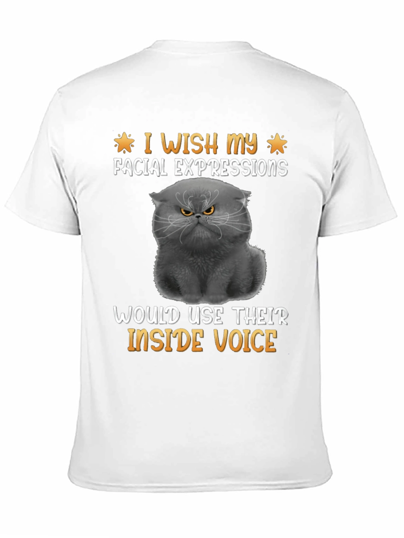 Grumpy Cat T-Shirt: Inside Voice Humor Tee
