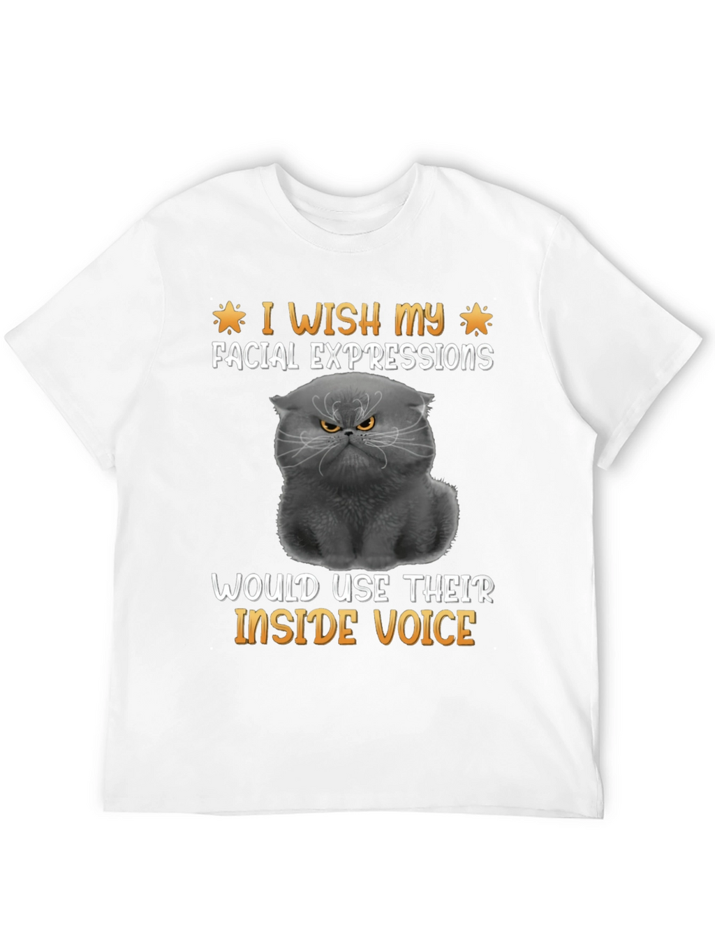 Grumpy Cat T-Shirt: Inside Voice Humor Tee