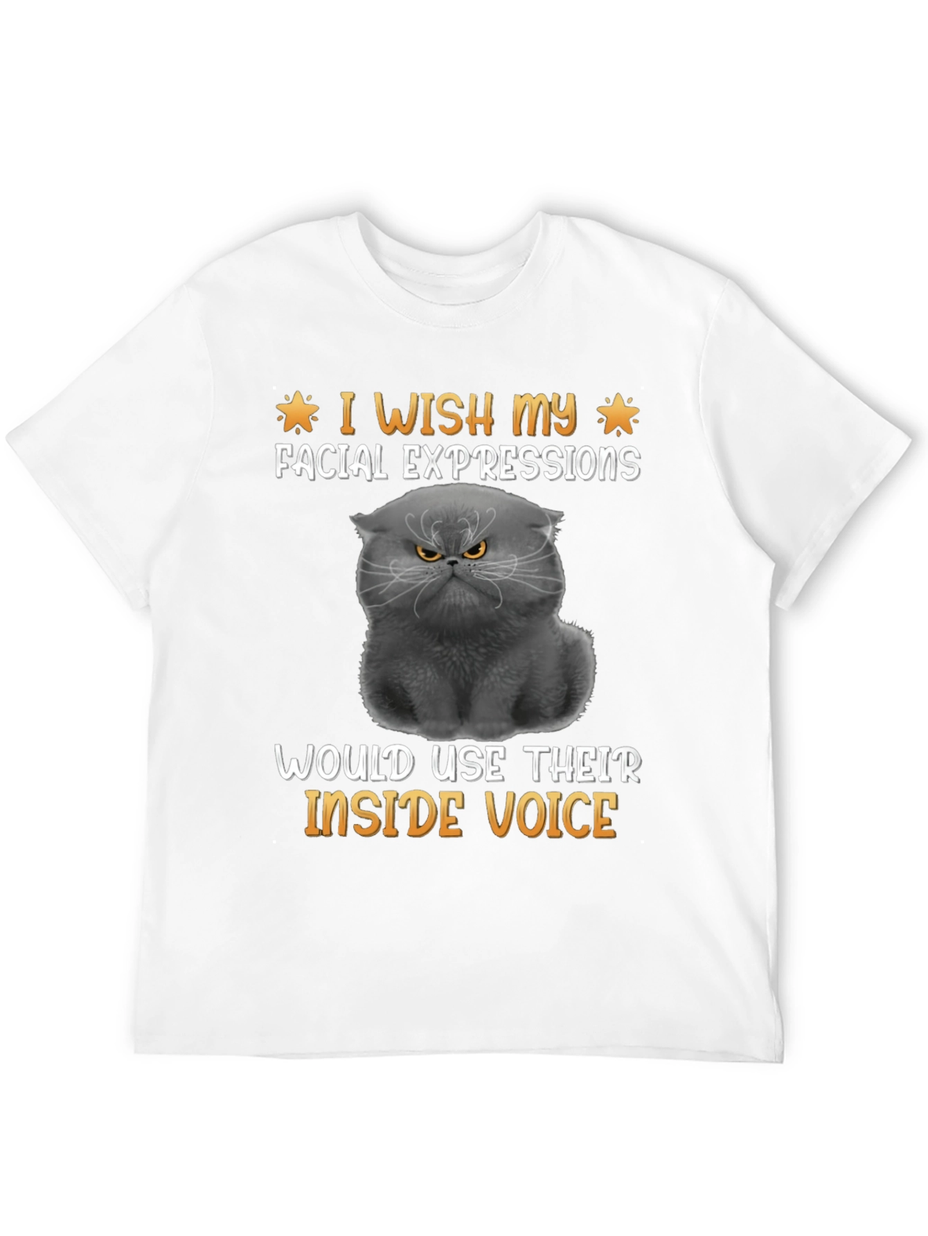 Grumpy Cat T-Shirt: Inside Voice Humor Tee