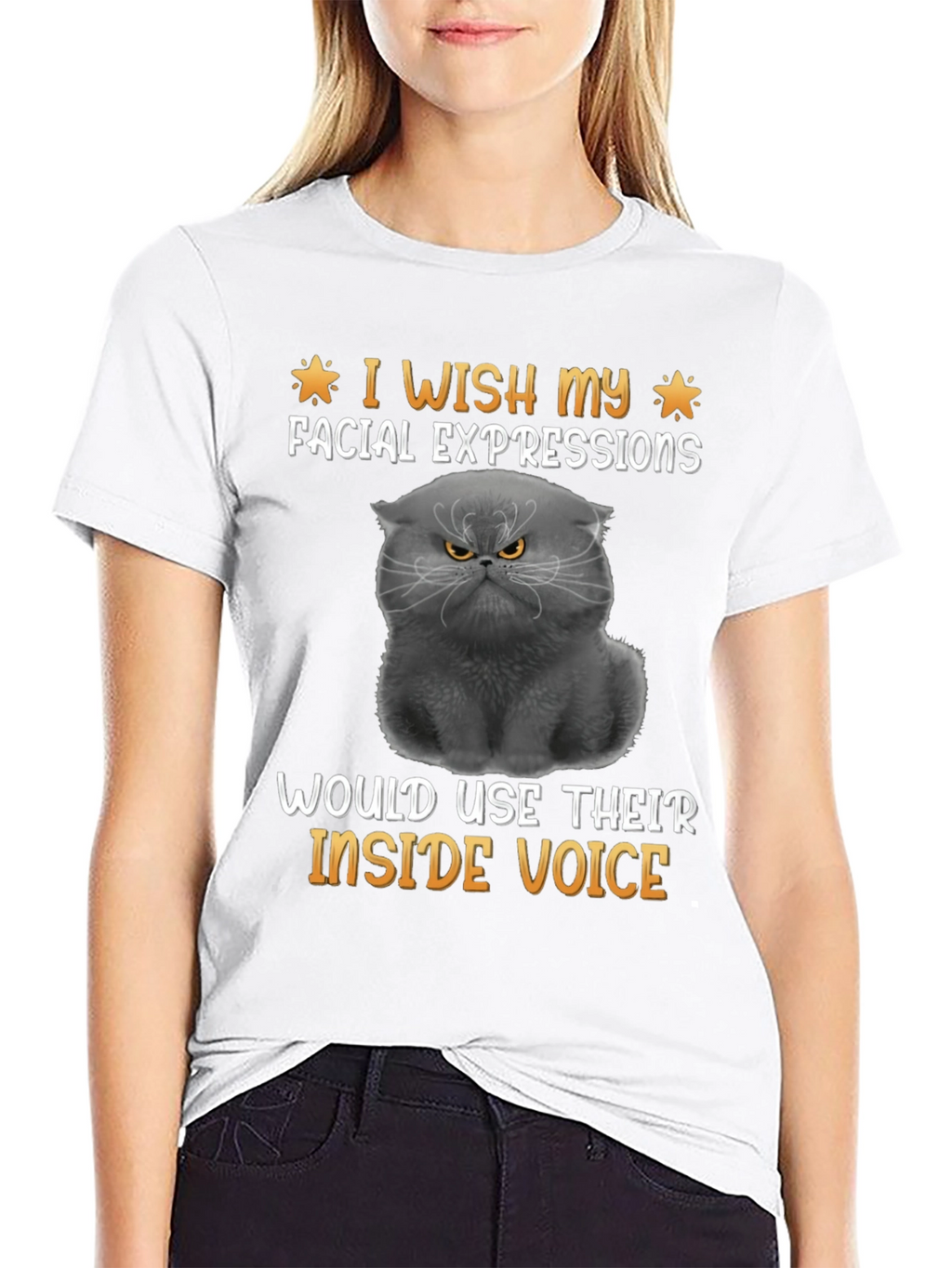 Grumpy Cat T-Shirt: Inside Voice Humor Tee