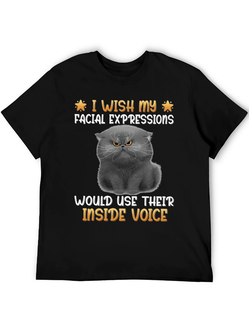Grumpy Cat T-Shirt: Inside Voice Humor Tee