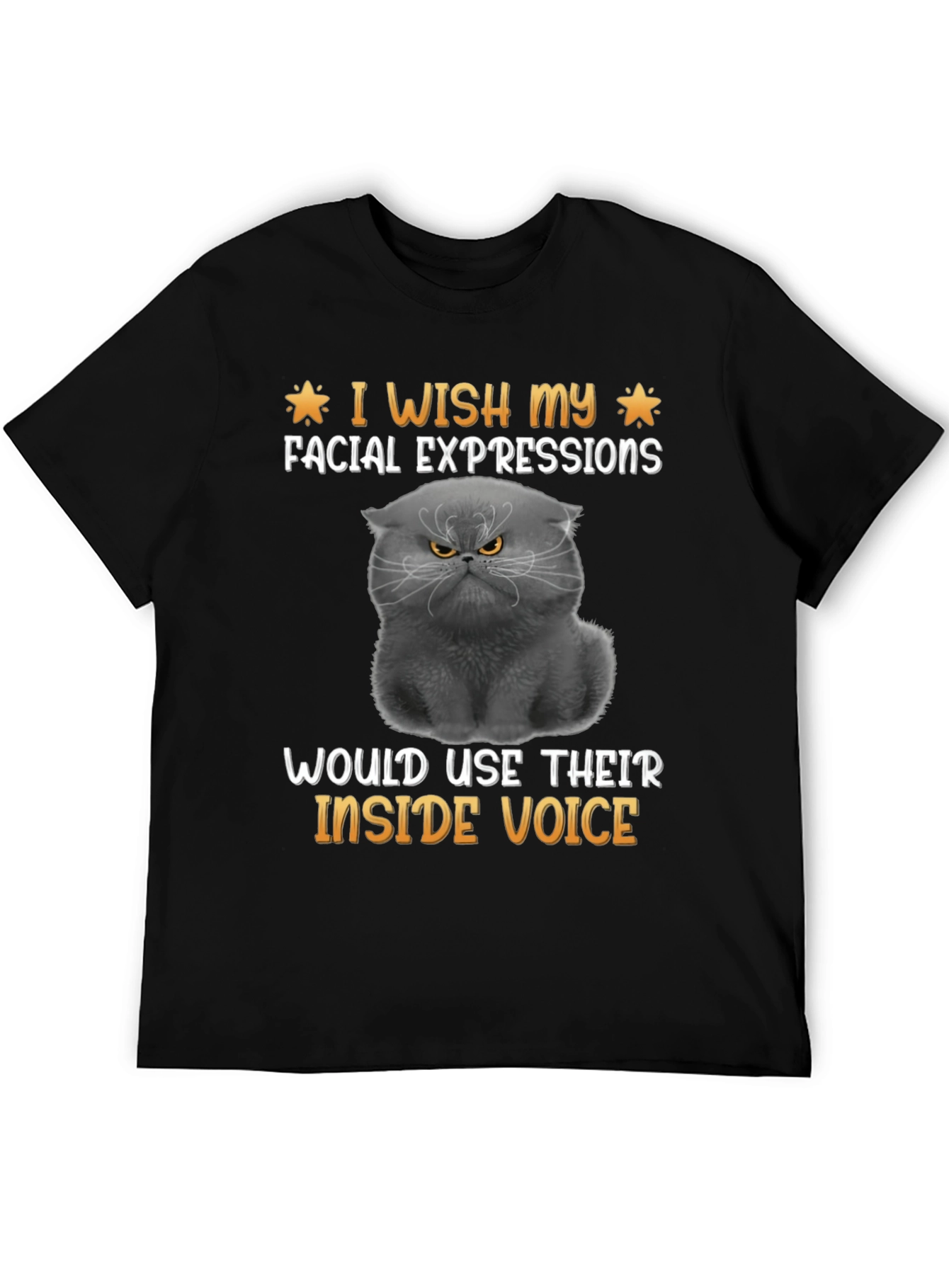 Grumpy Cat T-Shirt: Inside Voice Humor Tee