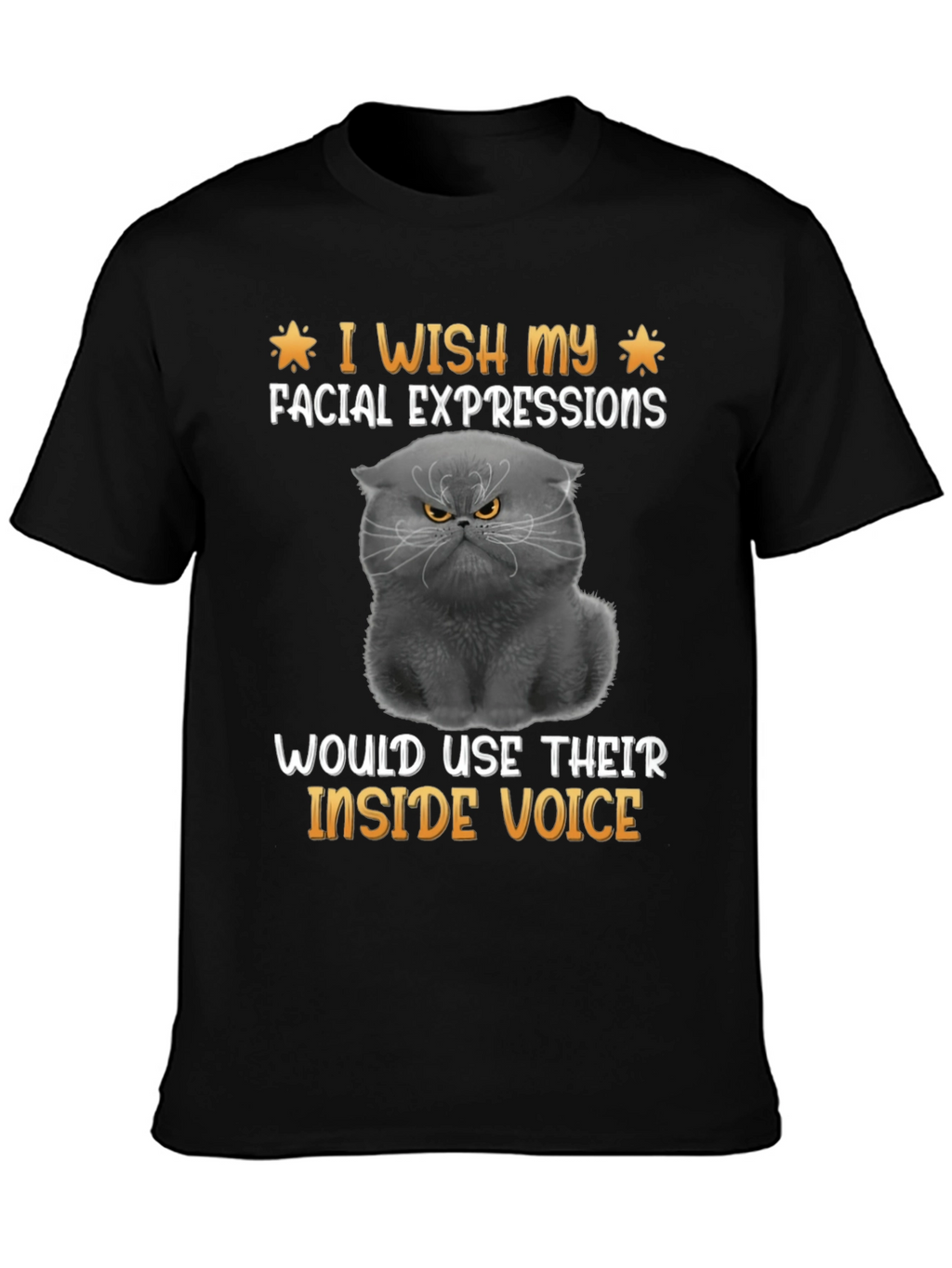 Grumpy Cat T-Shirt: Inside Voice Humor Tee