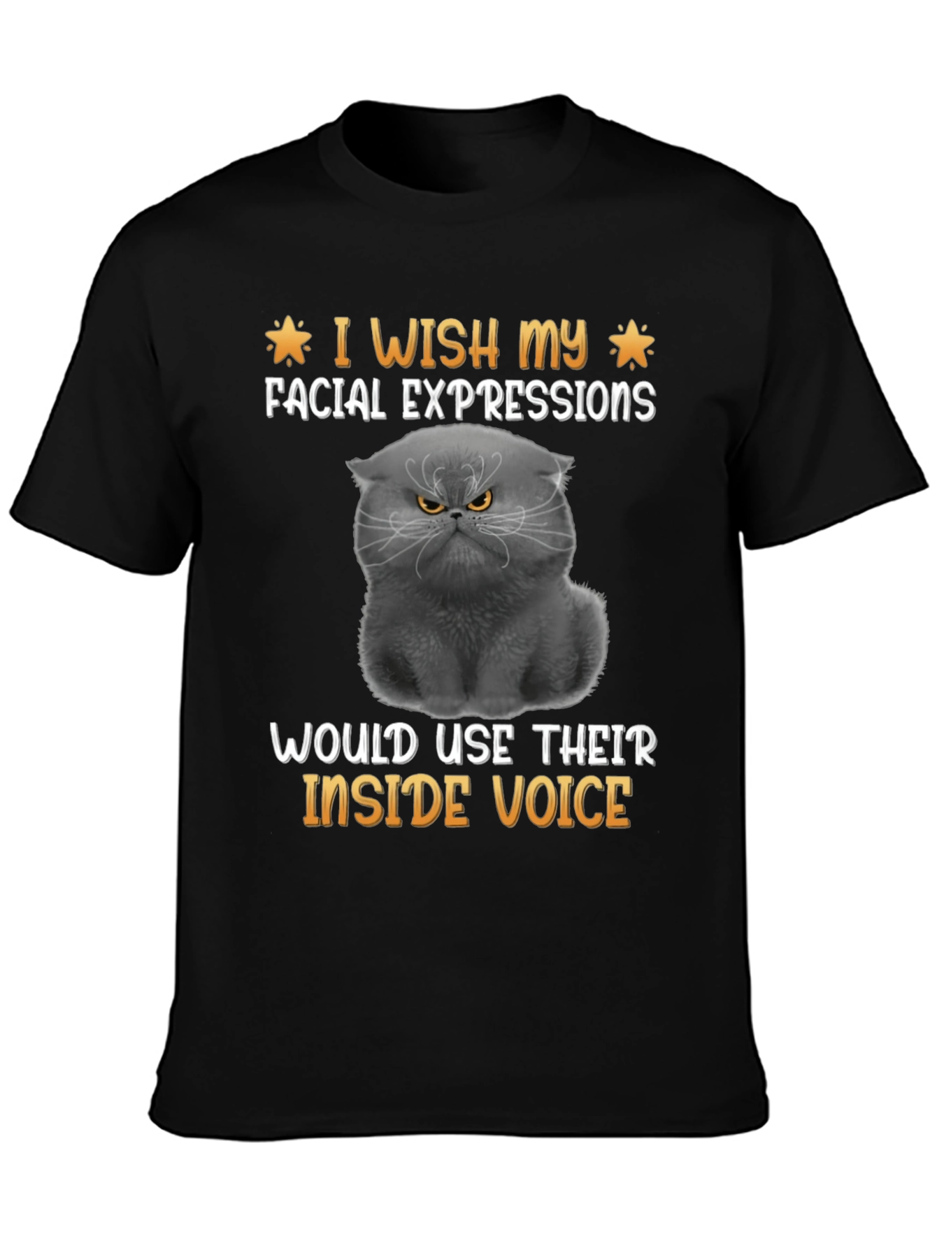 Grumpy Cat T-Shirt: Inside Voice Humor Tee