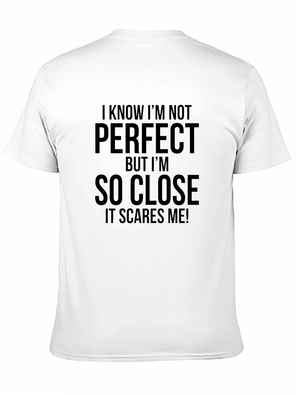 Funny Graphic Tee: I Know Im Not Perfect T-Shirt