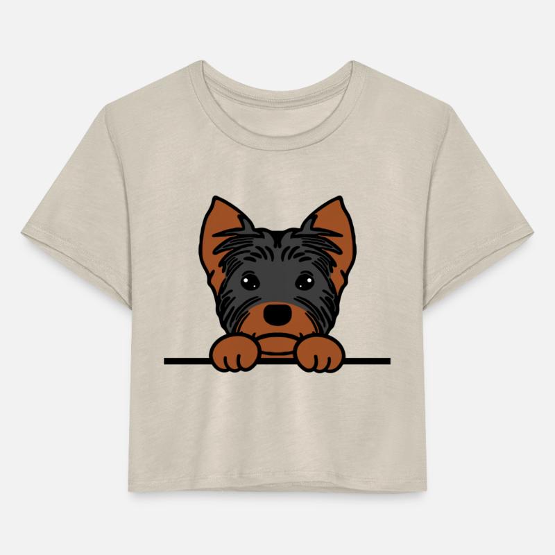 Yorkshire Terrier Dog